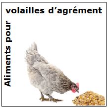 Aliments pour volailles