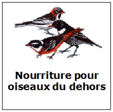 nourriture oiseaux du jardin