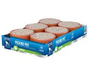 Pierres à piquer en pots